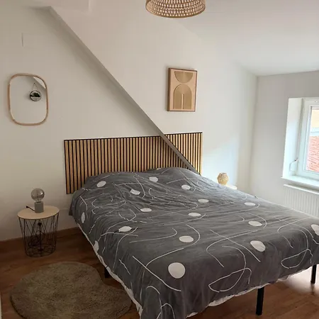 Apartment Elegant Centre Schirmeck