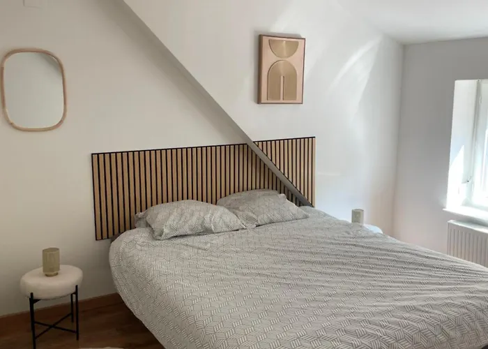 Elegant Centre 斯希尔梅