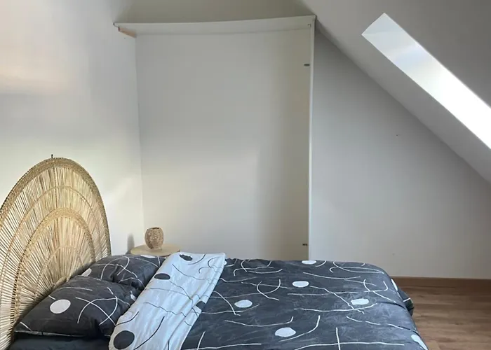 Elegant Centre 斯希尔梅