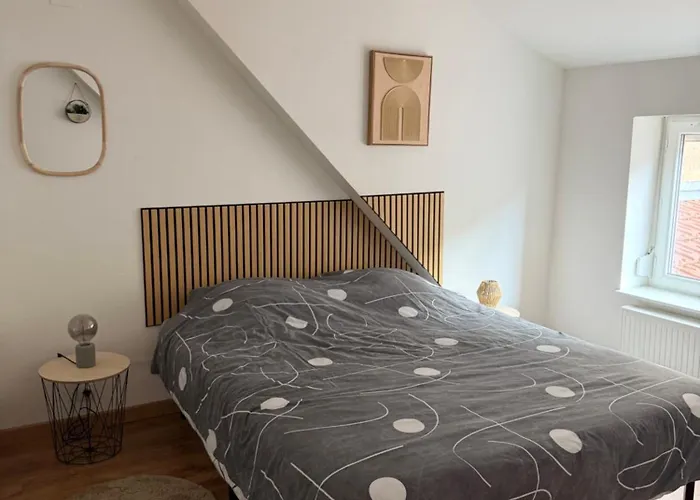 Apartment Elegant Centre Schirmeck